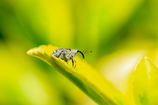 版本更新攻略大全：每次更新都踩坑的人，先把这篇看完再动手